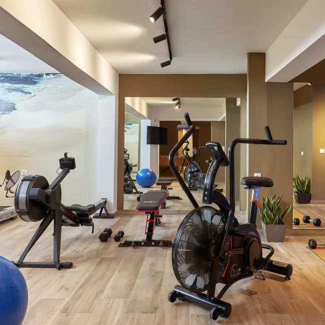 A fully equipped gym awaits for you - Villa Rodo Kokkini Hani